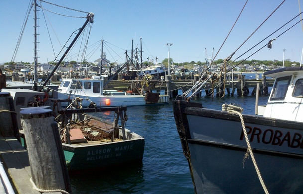 Provincetown harbor and shops near Adventure Bound Cape Cod