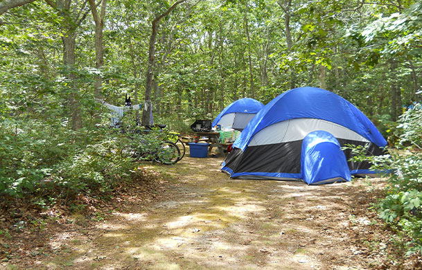 Primitive tent site at Adventure Bound Cape Cod Horton's