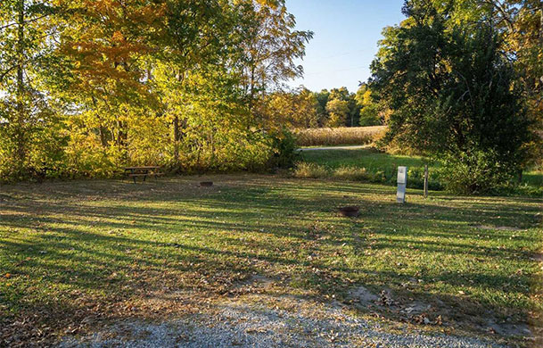 Standard Back In 30 Amp W/E/S