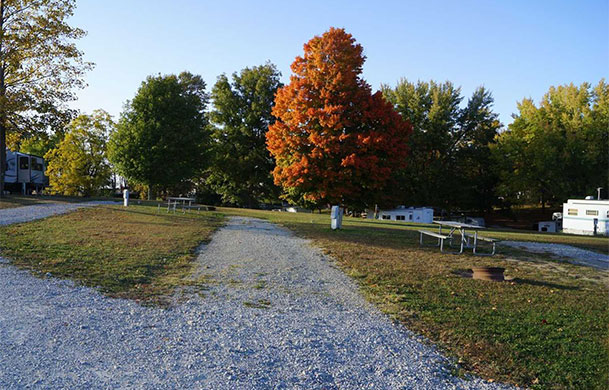 Standard Back In 50 Amp W/E/S